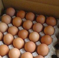 ПРЕВЕНЦИЯ: Унищожиха 90 000 яйца и два тона месо