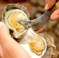 Фермер намери нещо, приличащо на пулсиращ мозък. По-добре да не се беше вглеждал (ВИДЕО)