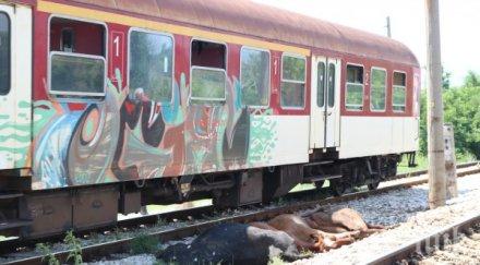 влак закъсня часа заради сгазена крава