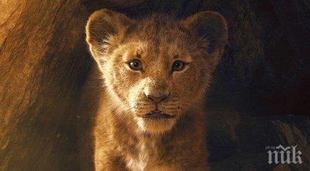 ценители цар лъв завръща години късно видео