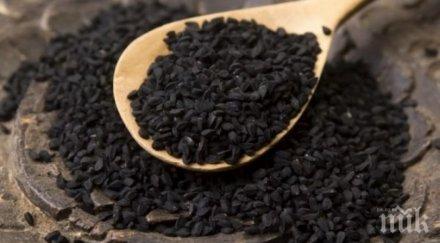 библейска билка цери 100 болести