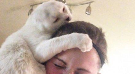 разкриха котките спят толкова