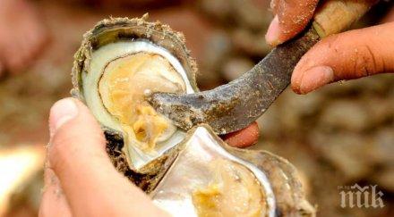 фермер намери нещо приличащо пулсиращ мозък добре беше вглеждал видео