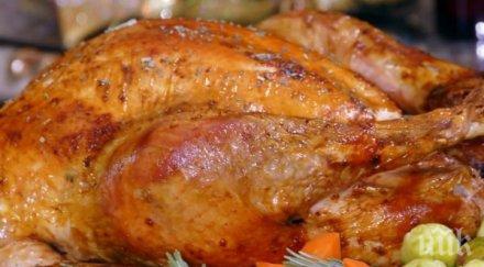 американците помилват милиона пуйки