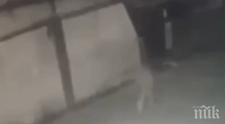 мистерия снимаха човек изчезва призрак улицата видео