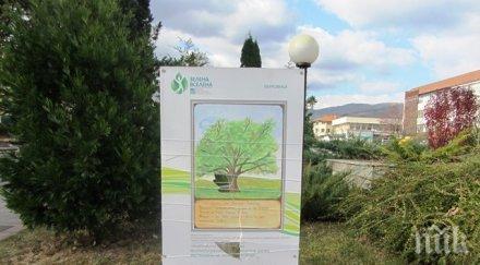 вандали чупят информационни табели берковица