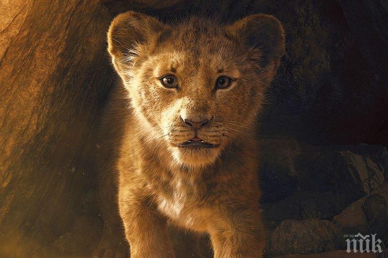 САМО ЗА ЦЕНИТЕЛИ: „Цар Лъв“ се завръща 25 години по-късно (ВИДЕО)