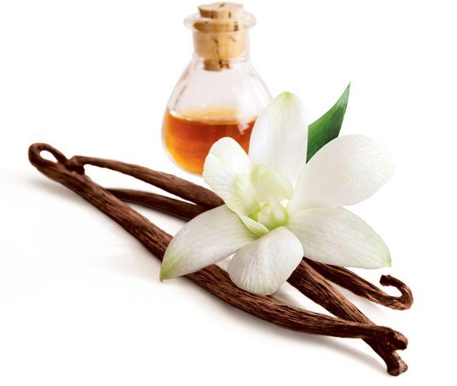 Ванилията ползвана от хората преди повече от 3500 години 