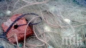 ОТ ЯЗОВИР: Извадиха километър бракониерски мрежи
