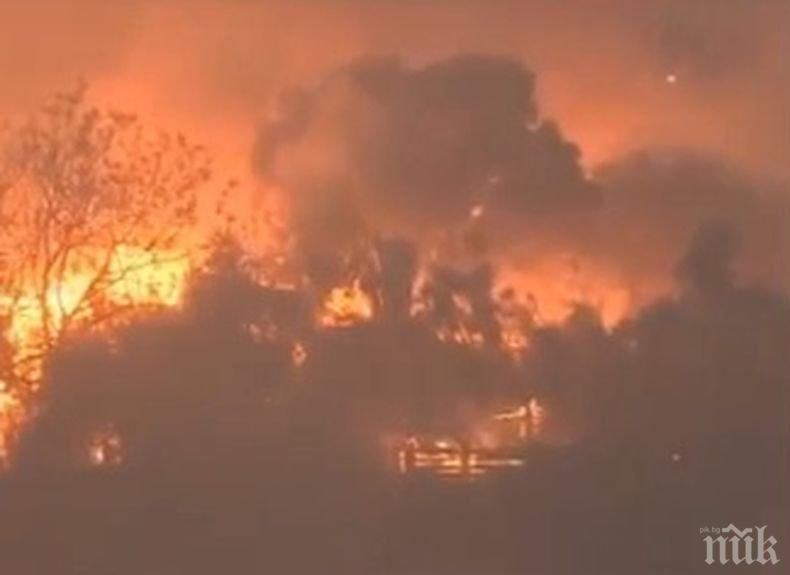 Властите в Калифорния не информирали всички местни жители за горските пожари