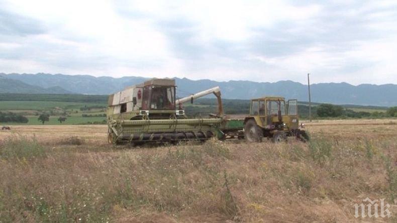 Заради COVID кризата: Раздават 70 млн. лева на 50 000 земеделци