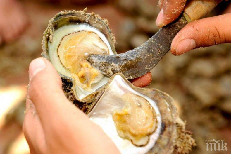 Фермер намери нещо, приличащо на пулсиращ мозък. По-добре да не се беше вглеждал (ВИДЕО)