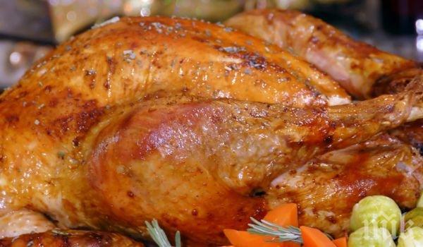 Американците ще помилват 46 милиона пуйки