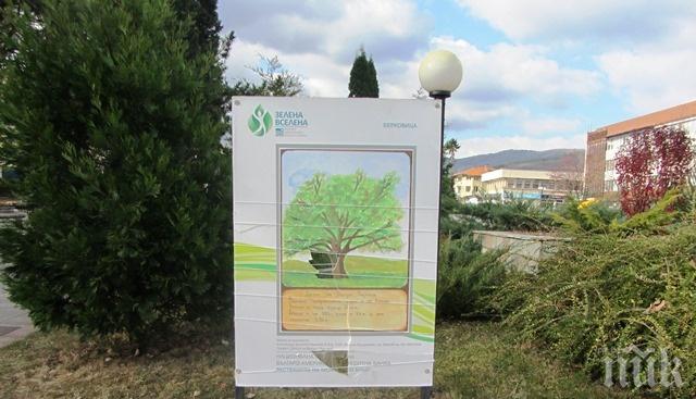 Вандали чупят информационни табели в Берковица