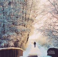 Двама изчезнаха в гора край поморийско село