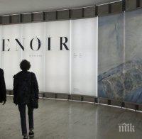 Откраднаха картина на Реноар във Виена
