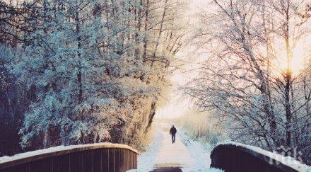 двама изчезнаха гора поморийско село