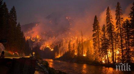 добра новина пожарът калифорния овладян напълно