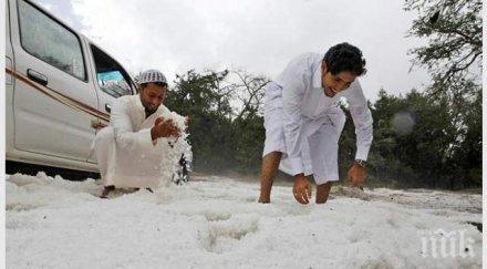 шок сняг заваля саудитска арабия