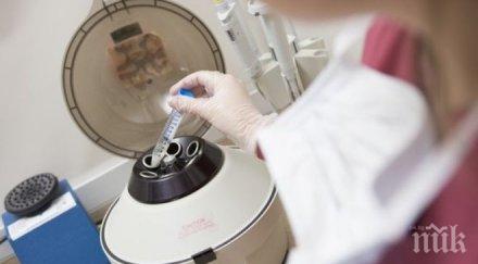 черен пазар вдигна цената яйцеклетката