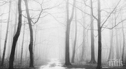 щастлива развръзка откриха двамата изгубени гората поморие