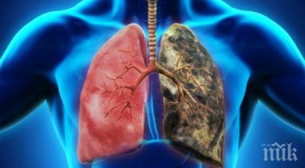 ракът белия дроб честото онкозаболяване нас