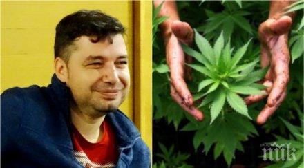 разкритие пик скандалният шеф дума протеже корнелия нинова нова изцепка марихуаната снимка