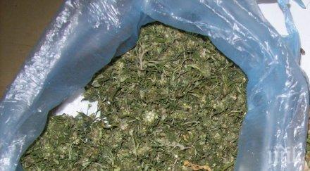 пълен шаш село брани подписка производител канабис