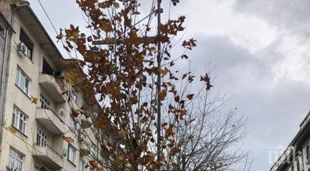 пускат пробно трамвая графа сряда снимки