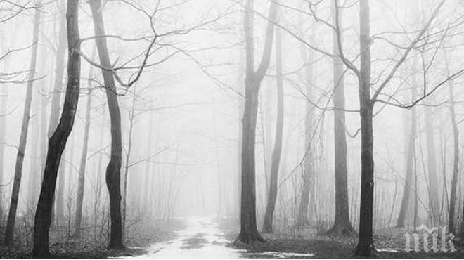 ЩАСТЛИВА РАЗВРЪЗКА: Откриха двамата изгубени в гората край Поморие