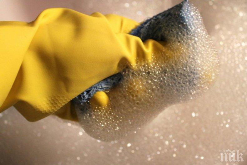 10 млн. бактерии ни дебнат от кухненската гъба