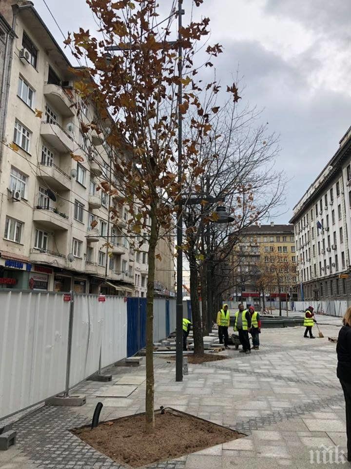 Пускат пробно трамвая по Графа в сряда (СНИМКИ) 