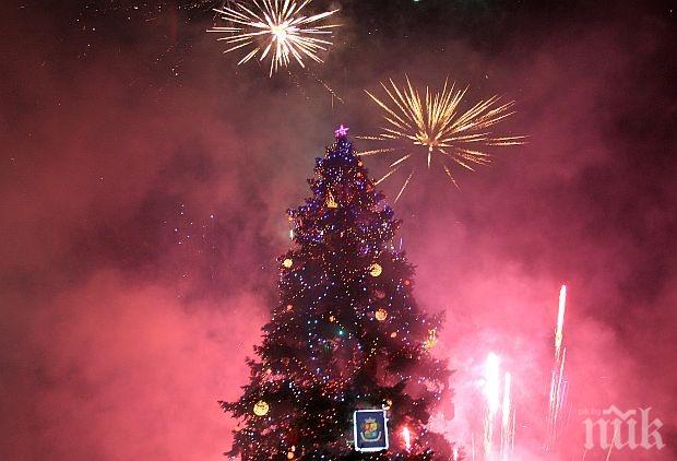 Светлините на коледната елха в ще светнат на 8 декември съобщиха от