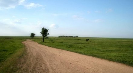 неизвестен уби баба