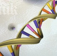 Предразположени сме към 15 редки генетични болести