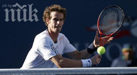 мъри чилич финалът куинс лондон