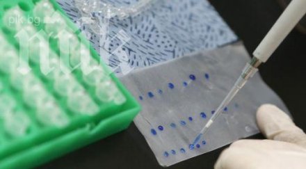 нов ген откриха български медици