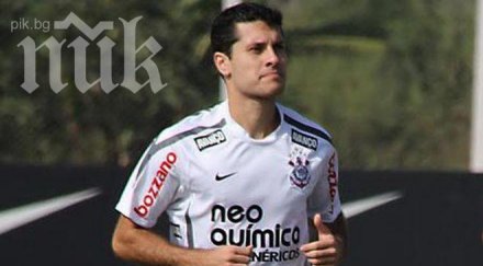 бразилецът бруно пристигна присъединява цска етрополе