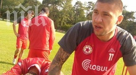 бандата замина цска