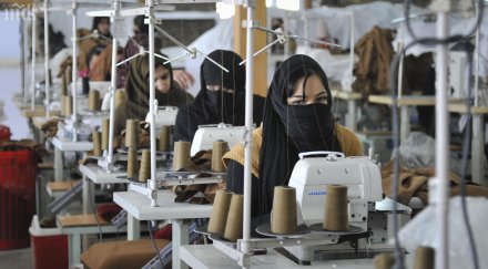 замърсена вода отрови стотици работници дака