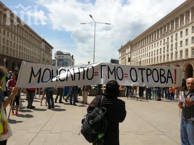 Спряха тролеите по “Раковски” заради протести пред централата на Атака