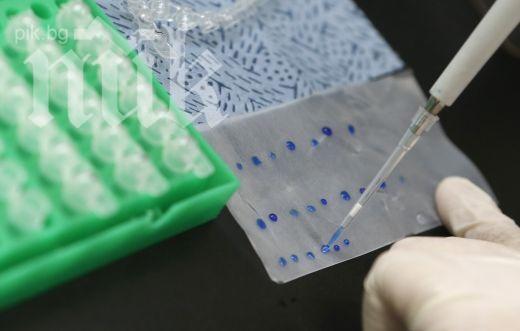 Нов ген откриха български медици