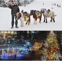 ПРАЗНИЧНА ЕУФОРИЯ: Синоптици разкриха какво ще е времето за Коледа и Нова година - ще има ли сняг и какви ще са температурите