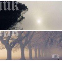 ВНИМАВАЙТЕ: Времето обещава слънце, но и мъгли
