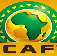Отнеха домакинството на Камерун на турнира за Купата на африканските нации