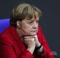 ПРАЗНИЧНА ЕУФОРИЯ: Меркел вече си има коледна елха
