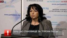 ИЗВЪНРЕДНО В ПИК TV: Теменужка Петкова с коментар за одобрената енергийна стратегия (ОБНОВЕНА)