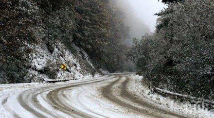 криза балчик бус болни пациенти хемодиализа закъса пътя