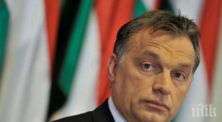 собственици медии унгария даряват компаниите фондация