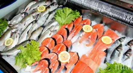 шест трика познаем прясна рибата никулден